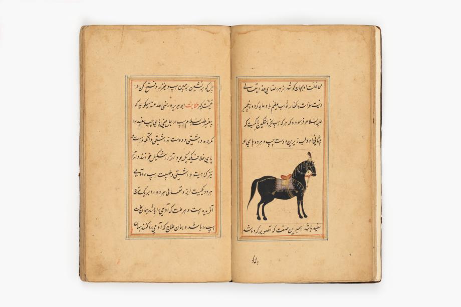 Book of Horses 이미지
